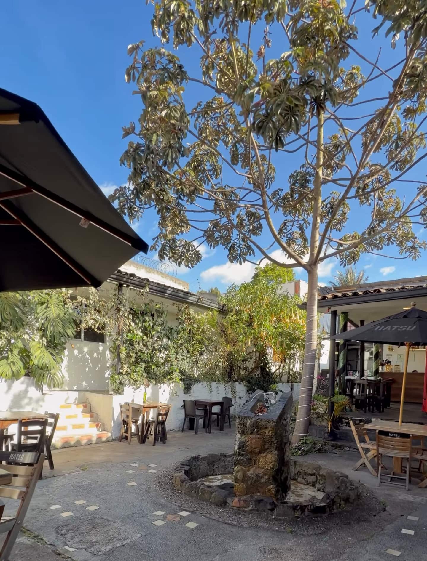 Patio a pleno sol con un árbol alto sobre la fuente de piedra, mesas, sillas y una sombrilla