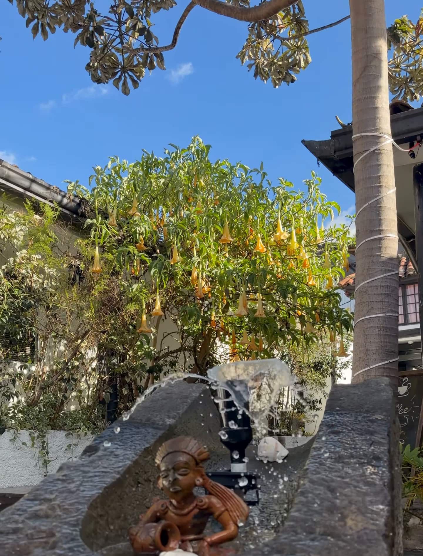 Figura de cerámica sobre la fuente de piedra del patio, bajo un árbol con flores de trompeta