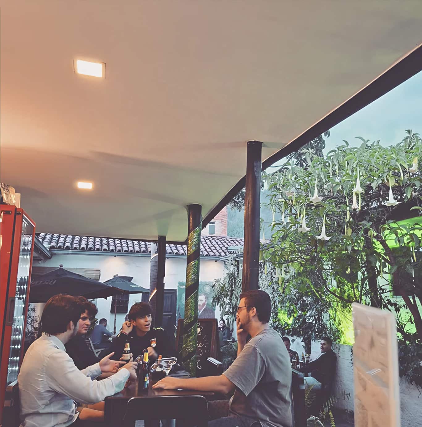 Amigos conversan con cervezas en la terraza cubierta al atardecer, junto a un árbol de flores de trompeta